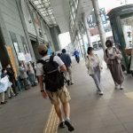梅雨の晴れ間に定例アクション
