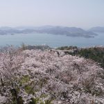 三津浜校区の署名行動のお知らせ