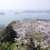 内宮・北・鴨川校区署名行動のお知らせ