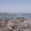 4月の定例署名行動のお知らせ