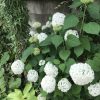 松山・久米校区の第4回署名集中アクション